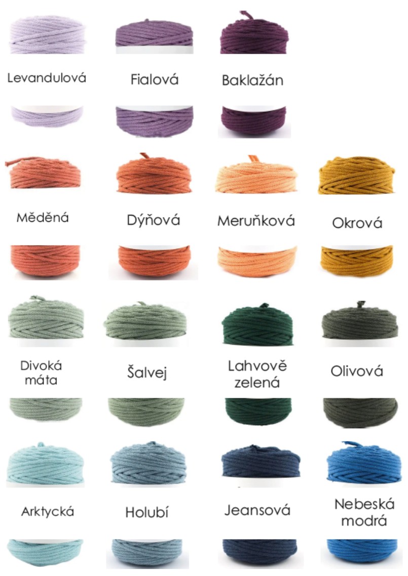 Snímek obrazovky 2026-02-19 205409